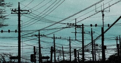This Tool Estimates the Energy Consumption of Your Chatbot Conversations